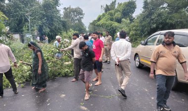 अर्नब तूफान ने आजमगढ़ में मचाई तबाही, 100 जगह पेड़ गिरे; 150 बिजली पोल टूटे, 20 उपकेंद्रों की आपूर्ति ठप