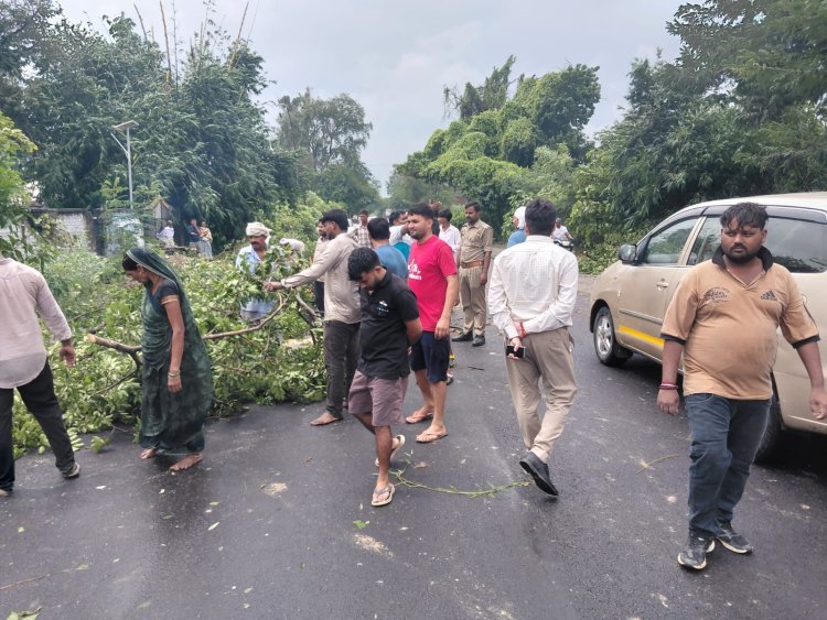 अर्नब तूफान ने आजमगढ़ में मचाई तबाही, 100 जगह पेड़ गिरे; 150 बिजली पोल टूटे, 20 उपकेंद्रों की आपूर्ति ठप